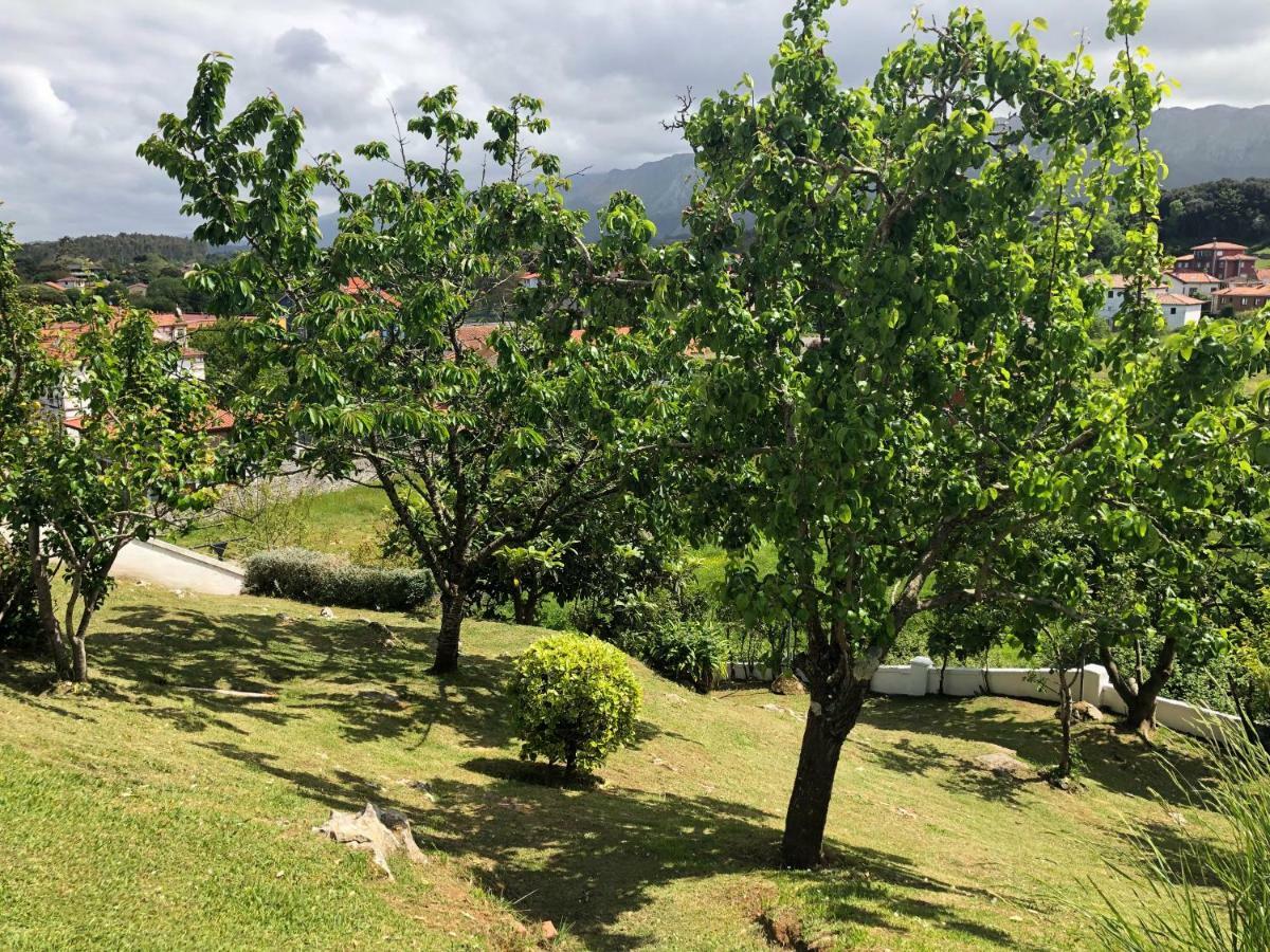 Apartamentos - Casa El Ancla Celorio  Eksteriør billede